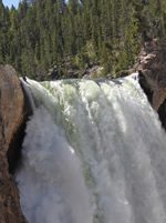 Explore Roadside Nature- Yellowstone NP Waterfall
